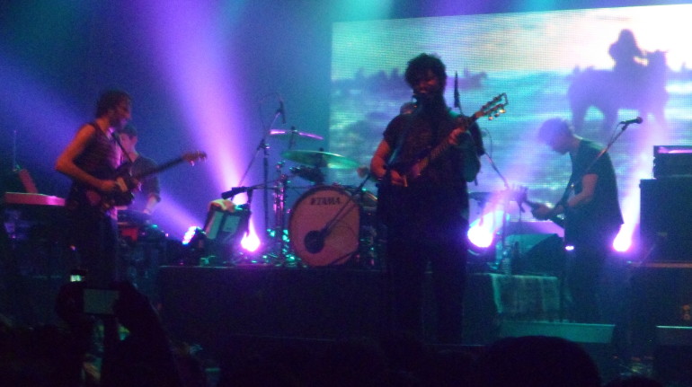 foals3
