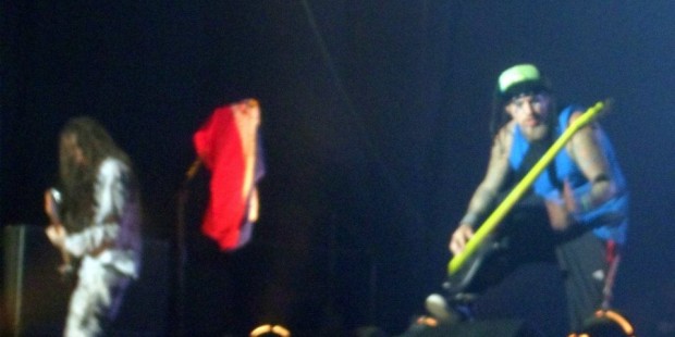 Head y Fieldy