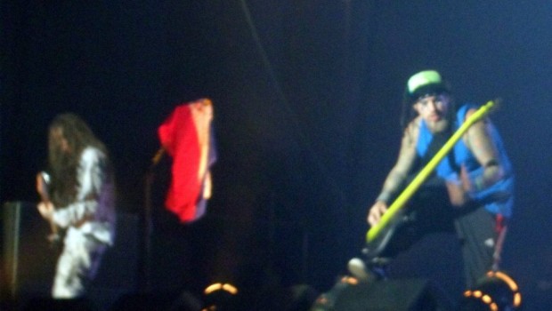 Head y Fieldy
